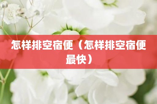 怎样排空宿便（怎样排空宿便最快）