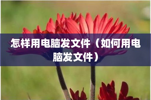 怎样用电脑发文件（如何用电脑发文件）