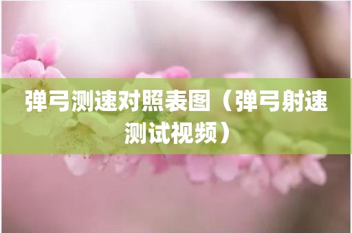 弹弓测速对照表图（弹弓射速测试视频）