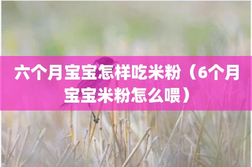 六个月宝宝怎样吃米粉(6个月宝宝米粉怎么喂) 六个月宝宝怎样吃米粉(6个月宝宝米粉怎么喂)