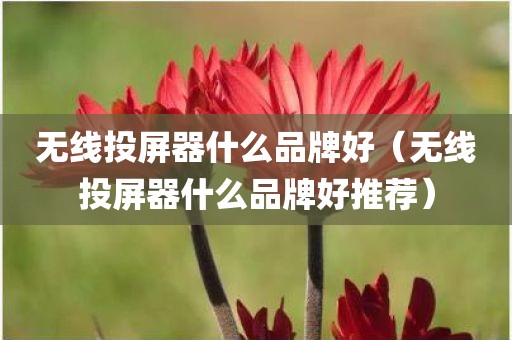 无线投屏器什么品牌好（无线投屏器什么品牌好推荐）