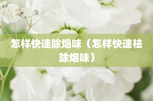 怎样快速除烟味（怎样快速祛除烟味）
