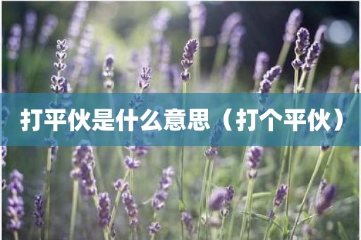 打平伙是什么意思（打个平伙）