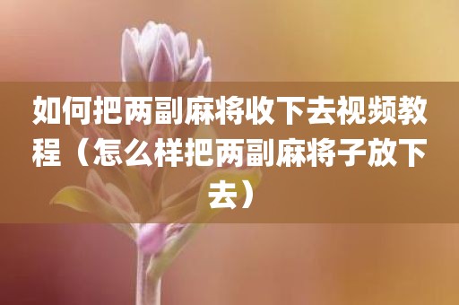 如何把两副麻将收下去视频教程（怎么样把两副麻将子放下去）