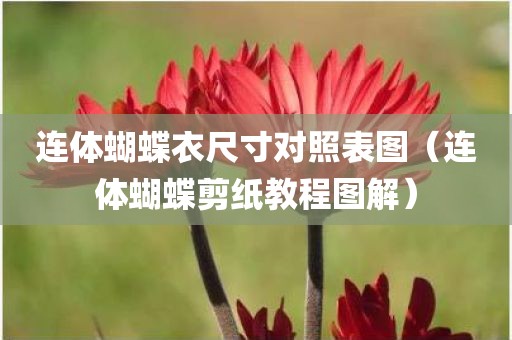 连体蝴蝶衣尺寸对照表图（连体蝴蝶剪纸教程图解）