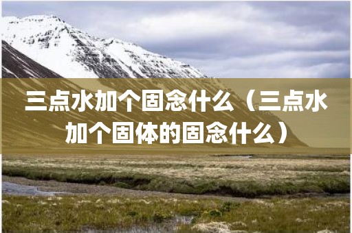 三点水加个固念什么(三点水加个固体的固念什么)