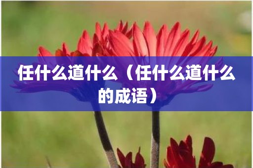任什么道什么（任什么道什么的成语）