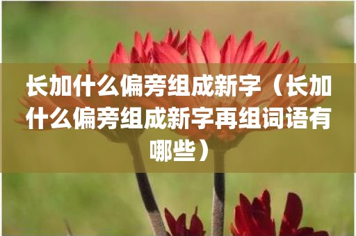长加什么偏旁组成新字（长加什么偏旁组成新字再组词语有哪些）