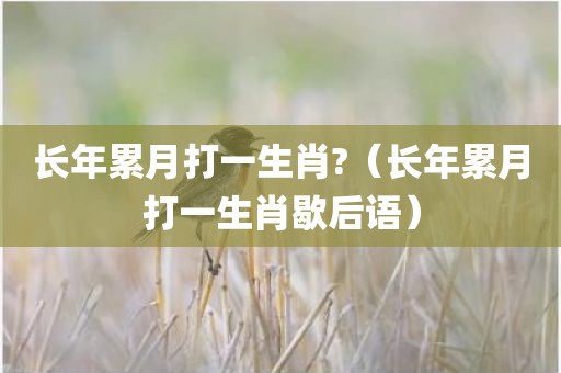 长年累月打一生肖?(长年累月打一生肖歇后语)