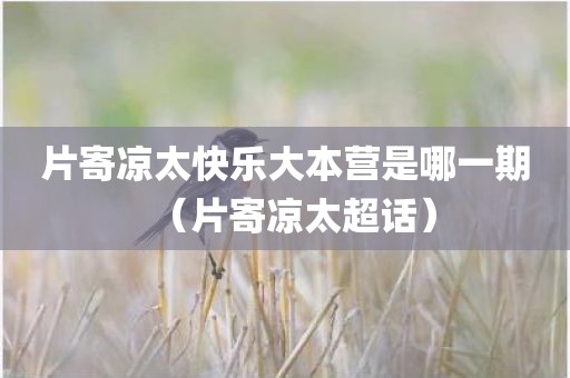 片寄凉太快乐大本营是哪一期(片寄凉太超话) 片寄凉太快乐大本营是哪一期(片寄凉太超话)