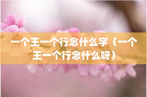 一个王一个行念什么字（一个王一个行念什么呀）