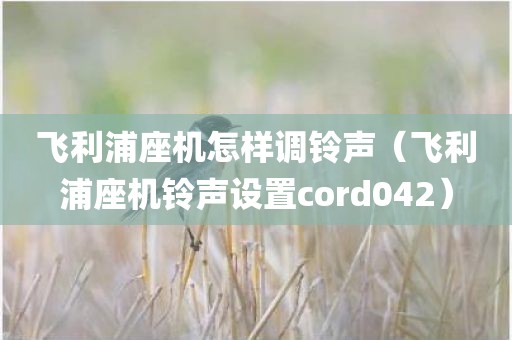 飞利浦座机怎样调铃声(飞利浦座机铃声设置cord042)