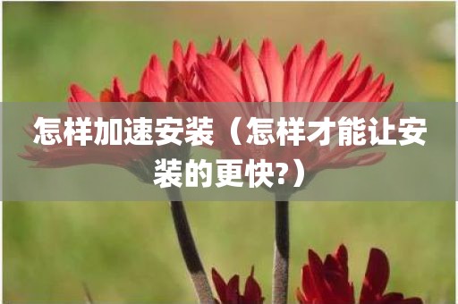 怎样加速安装（怎样才能让安装的更快?）