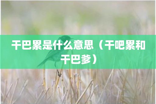 干巴累是什么意思（干吧累和干巴爹）