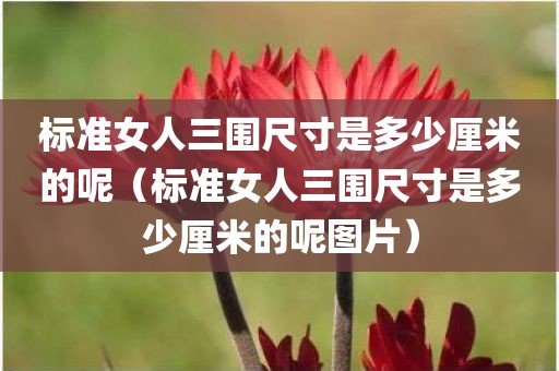标准女人三围尺寸是多少厘米的呢（标准女人三围尺寸是多少厘米的呢图片）