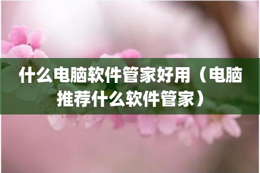 什么电脑软件管家好用(电脑推荐什么软件管家)