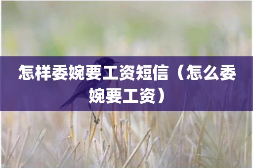 怎样委婉要工资短信（怎么委婉要工资）