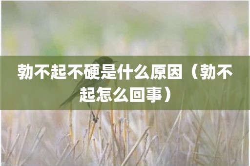勃不起不硬是什么原因（勃不起怎么回事）