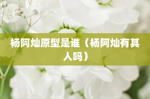 杨阿灿原型是谁（杨阿灿有其人吗）