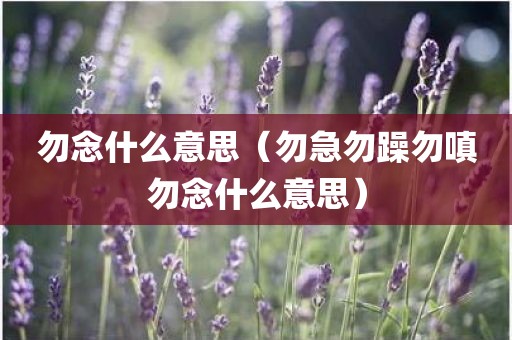勿念什么意思(勿急勿躁勿嗔勿念什么意思) - 图小雯知识