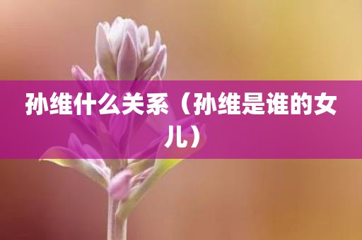 孙维什么关系（孙维是谁的女儿）