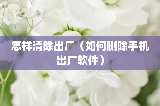 怎样清除出厂（如何删除手机出厂软件）
