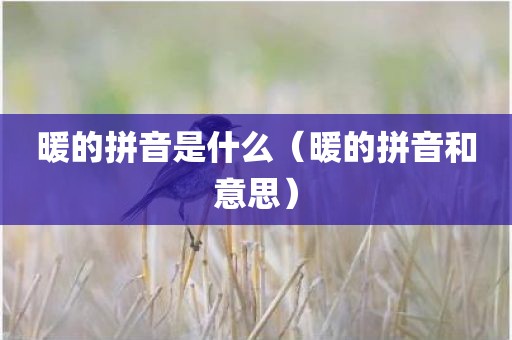 暖的拼音是什么（暖的拼音和意思）