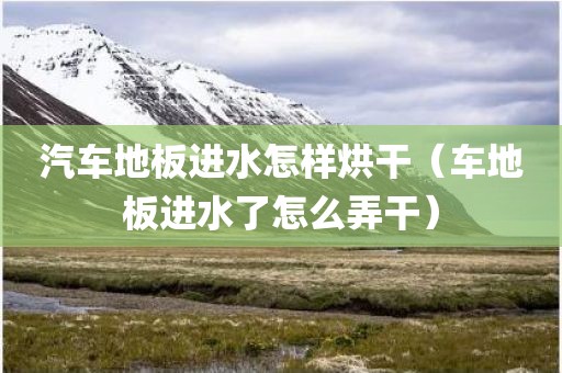 汽车地板进水怎样烘干（车地板进水了怎么弄干）