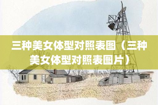 三种美女体型对照表图（三种美女体型对照表图片）