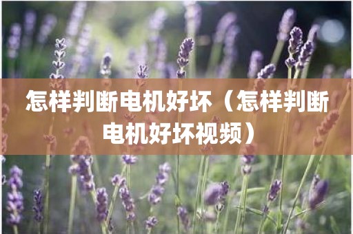 怎样判断电机好坏（怎样判断电机好坏视频）