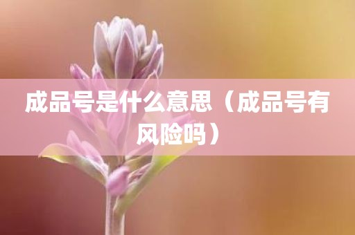 成品号是什么意思（成品号有风险吗）