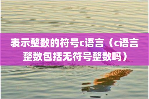 表示整数的符号c语言（c语言整数包括无符号整数吗）