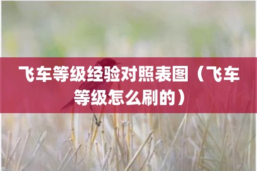飞车等级经验对照表图（飞车等级怎么刷的）