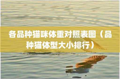 各品种猫咪体重对照表图（品种猫体型大小排行）