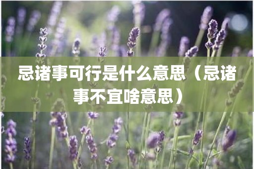 忌诸事可行是什么意思（忌诸事不宜啥意思）