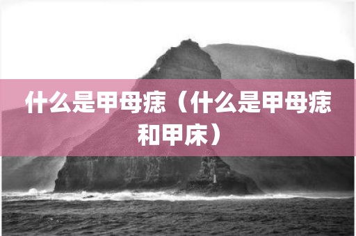 什么是甲母痣(什么是甲母痣和甲床) 什么是甲母痣(什么是甲母痣和甲床)