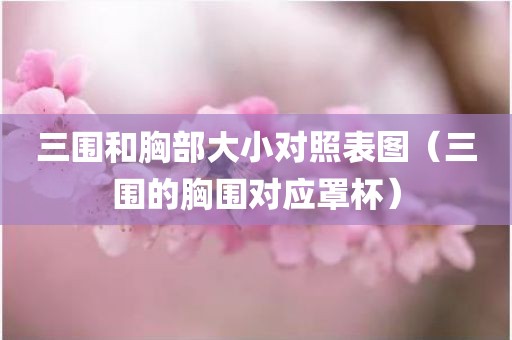 三围和胸部大小对照表图（三围的胸围对应罩杯）