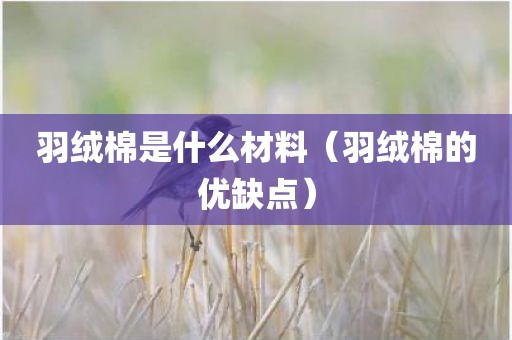 羽绒棉是什么材料（羽绒棉的优缺点）