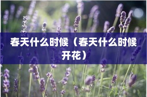 春天什么时候（春天什么时候开花）