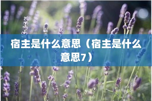 宿主是什么意思（宿主是什么意思7）