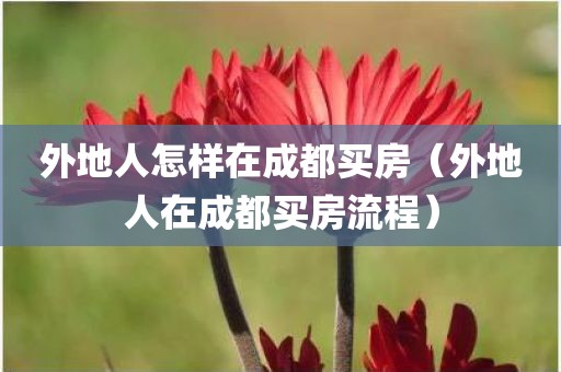外地人怎样在成都买房（外地人在成都买房流程）