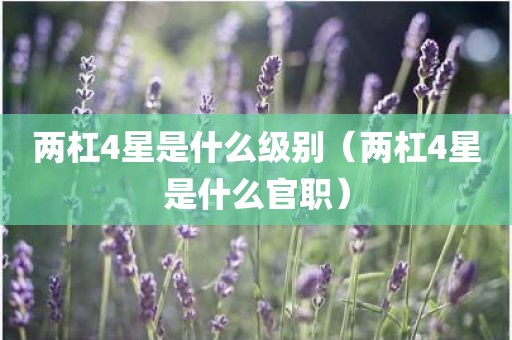 两杠4星是什么级别（两杠4星是什么官职）