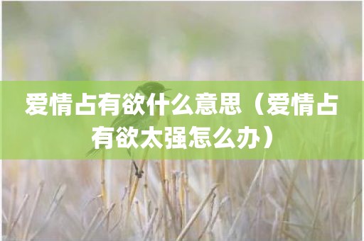 爱情占有欲什么意思（爱情占有欲太强怎么办）