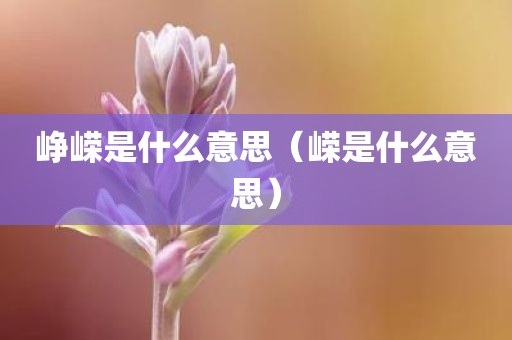 峥嵘是什么意思（嵘是什么意思）