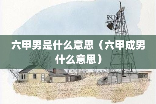 六甲男是什么意思（六甲成男什么意思）