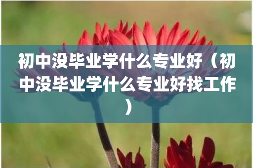 初中没毕业学什么专业好（初中没毕业学什么专业好找工作）