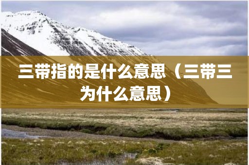 三带指的是什么意思（三带三为什么意思）