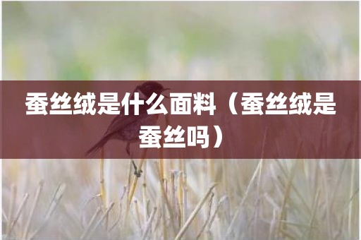 蚕丝绒是什么面料（蚕丝绒是蚕丝吗）