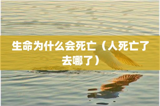 生命为什么会死亡（人死亡了去哪了）
