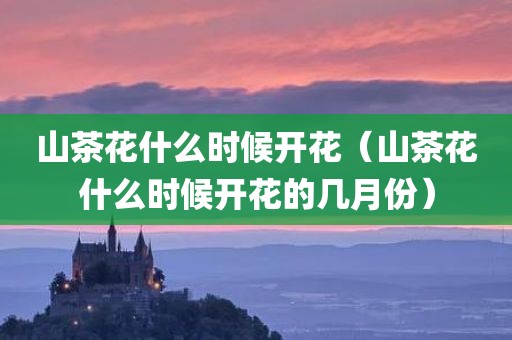 山茶花什么时候开花(山茶花什么时候开花的几月份)